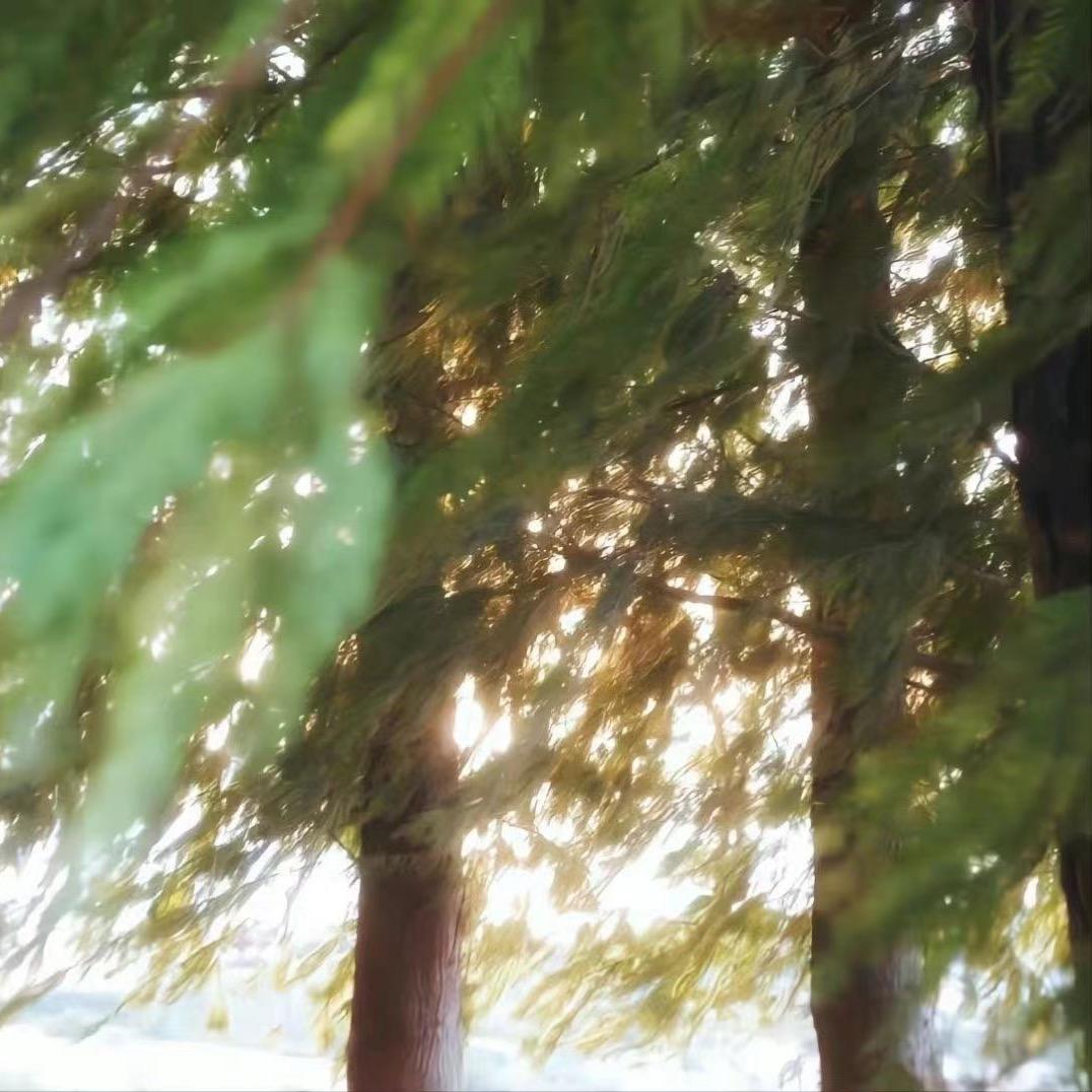 宏发建材商店(龙王港店)湖南阁宋公司直播号