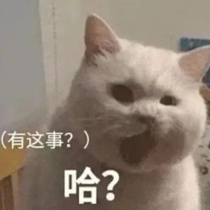 胖虎不虎