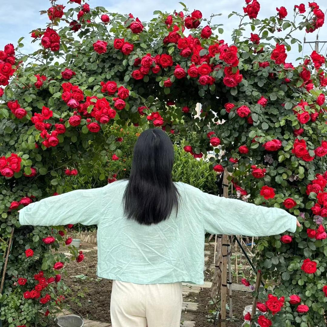 云想衣裳女装