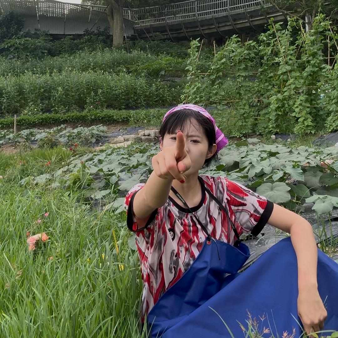 🐑杨西西