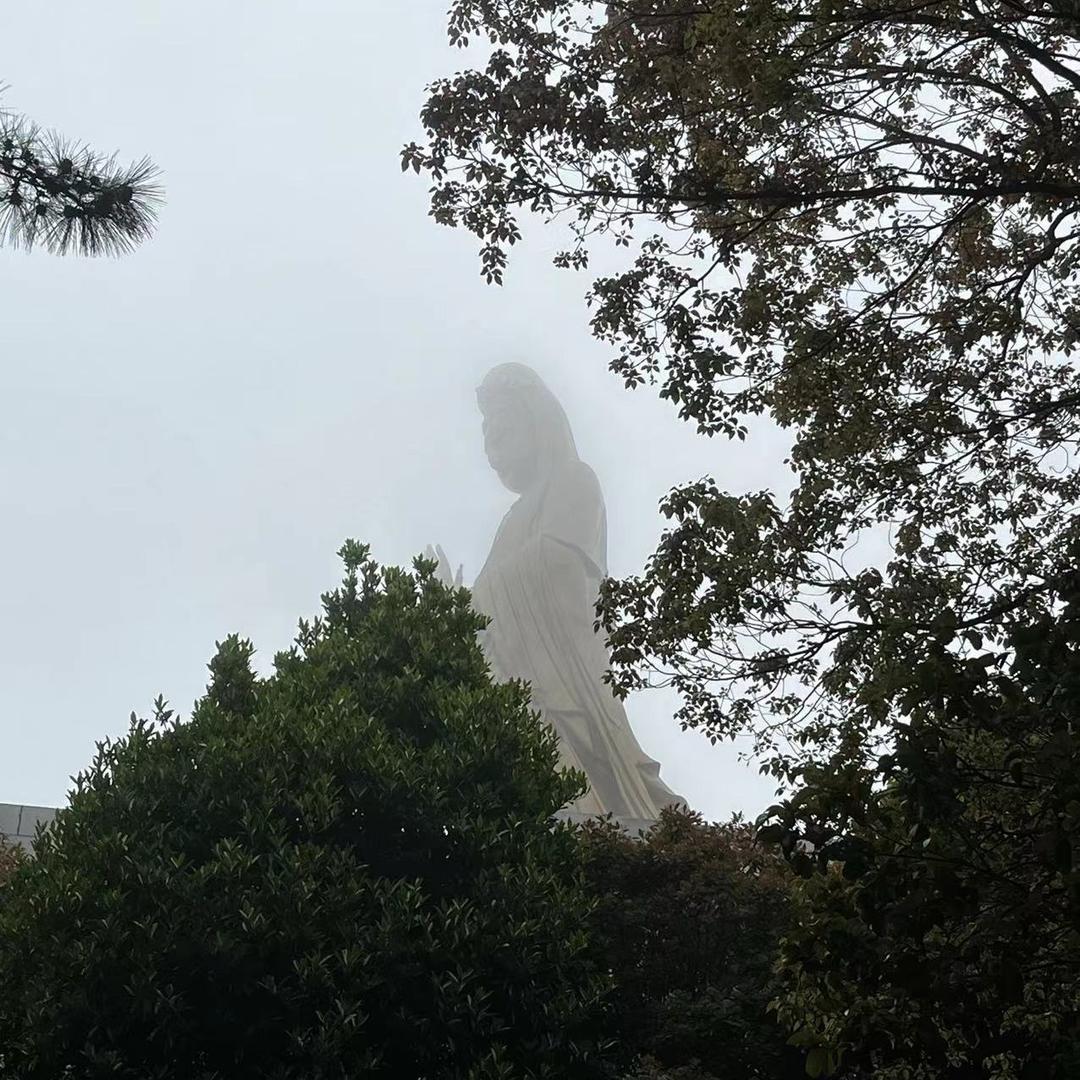 70后带刺黑玫瑰