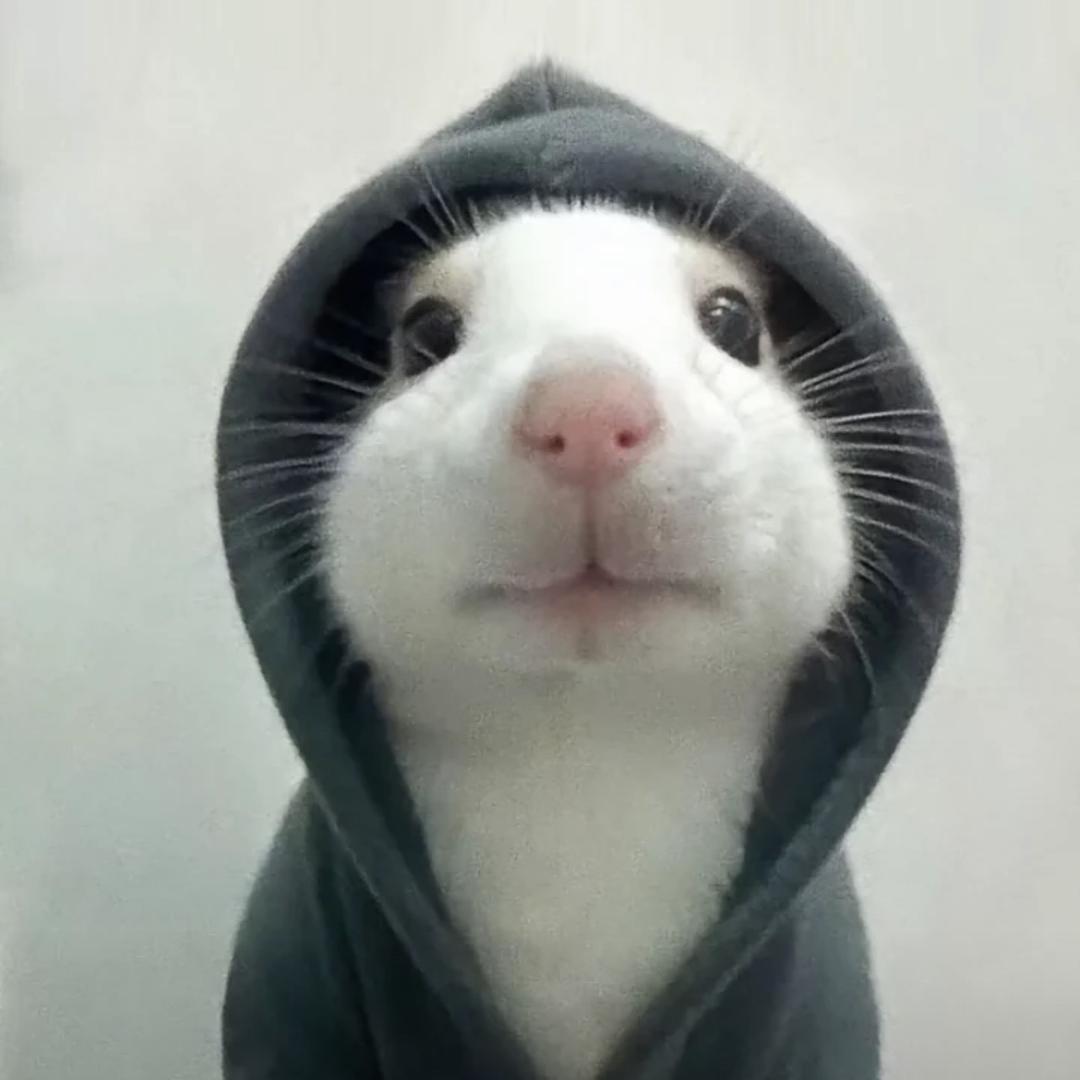 ♡.