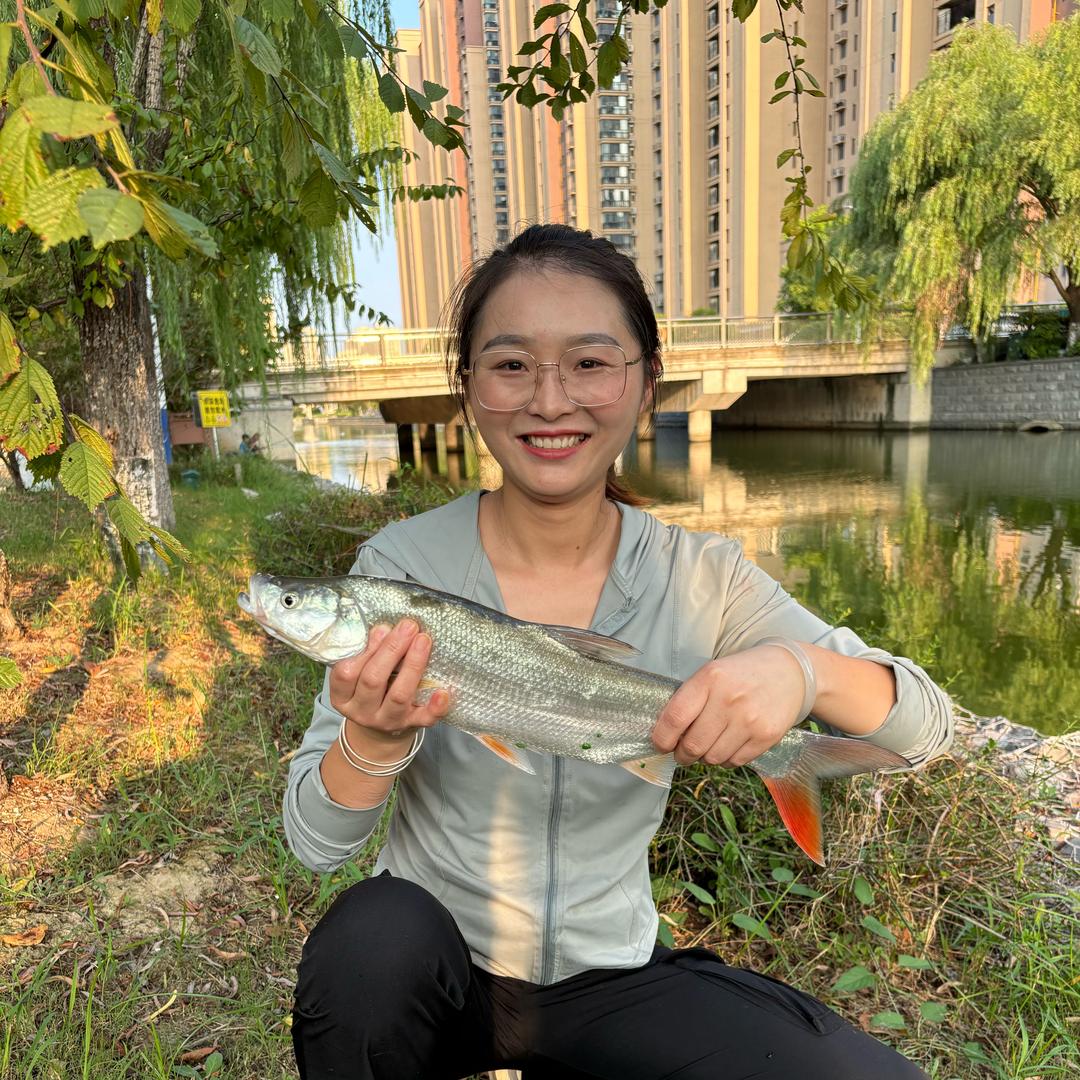 木子爱钓鱼