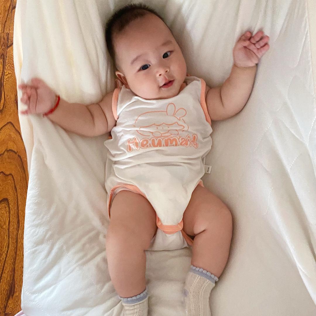 哈米的成长日记