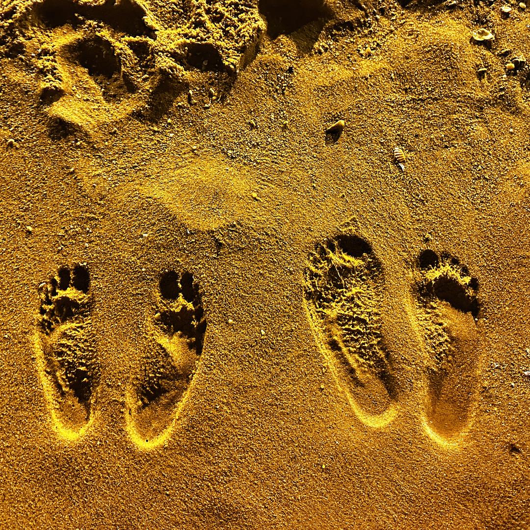 吨吨酱的小鸟胃