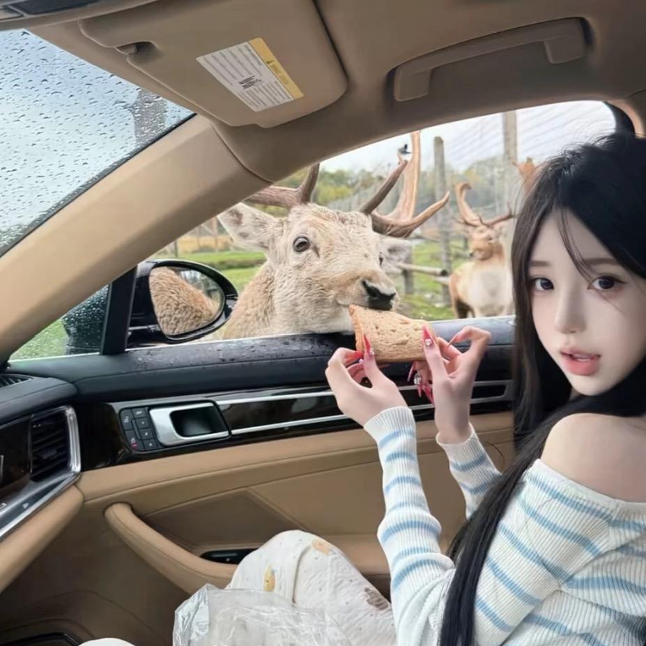 他说不愿看我掉眼泪^