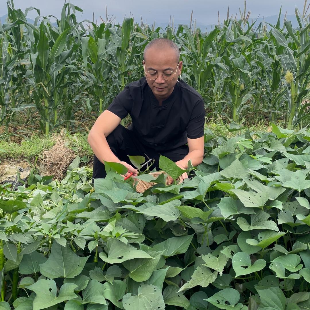 博勇的农村生活