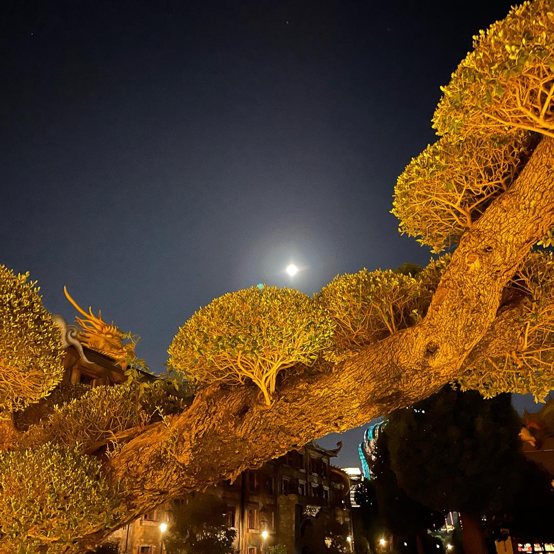 马琳蜀