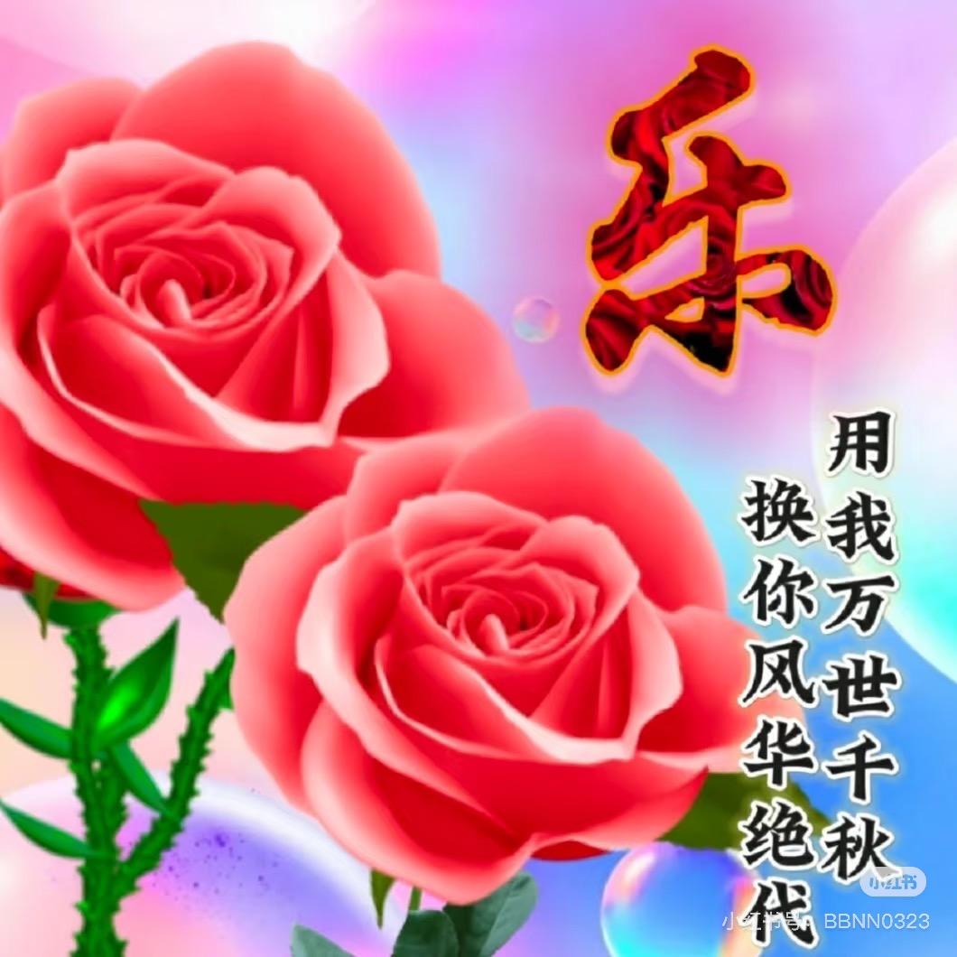 王姐爱生活