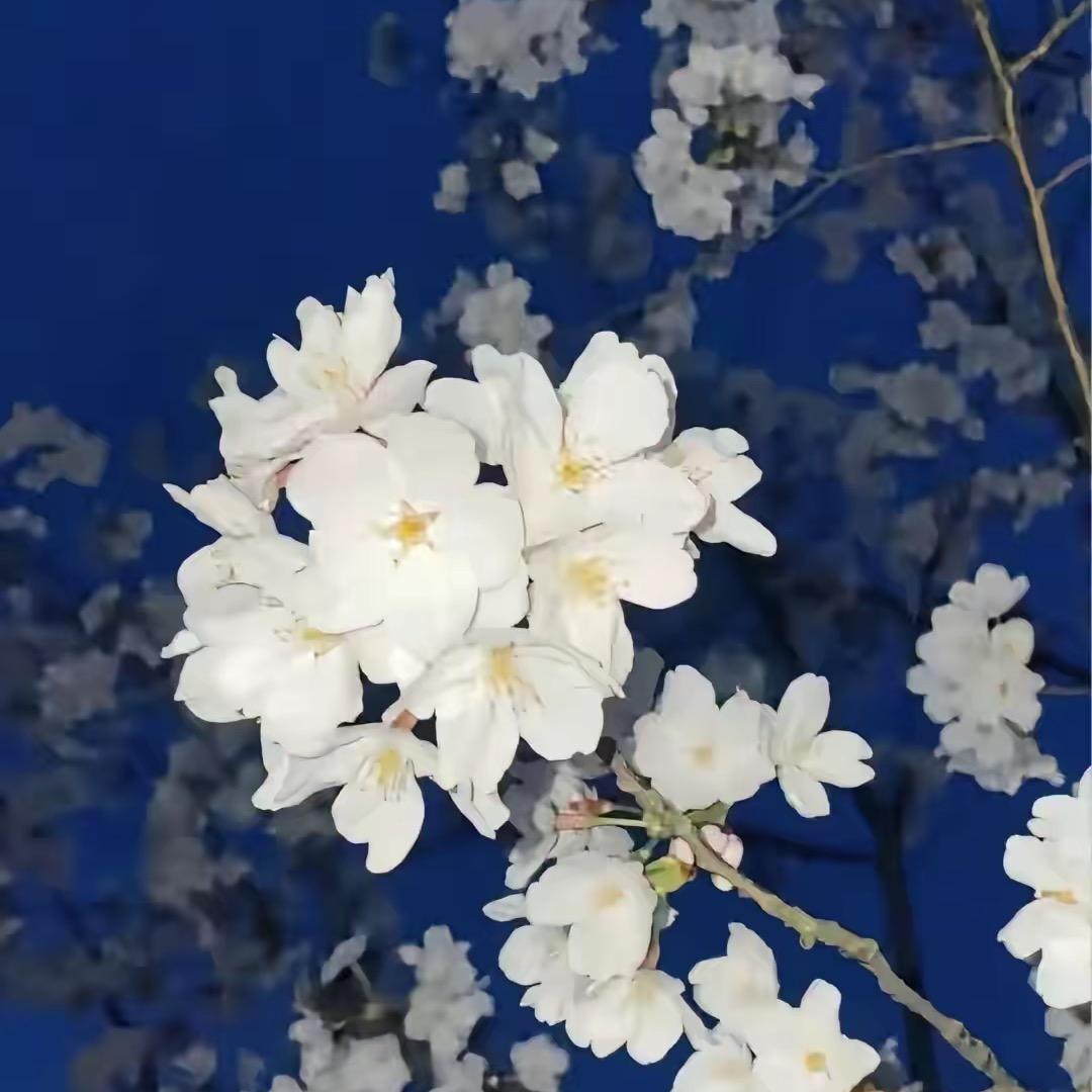 @郡姐霸霸
