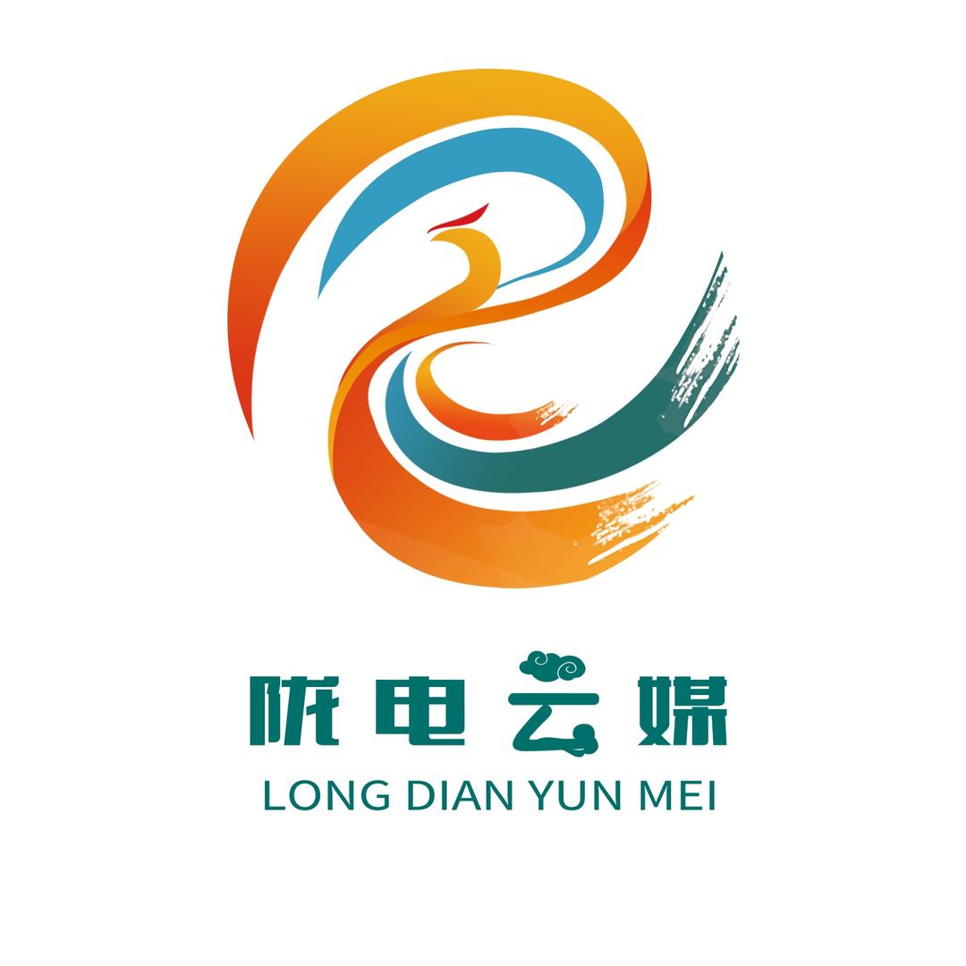 陇电云媒