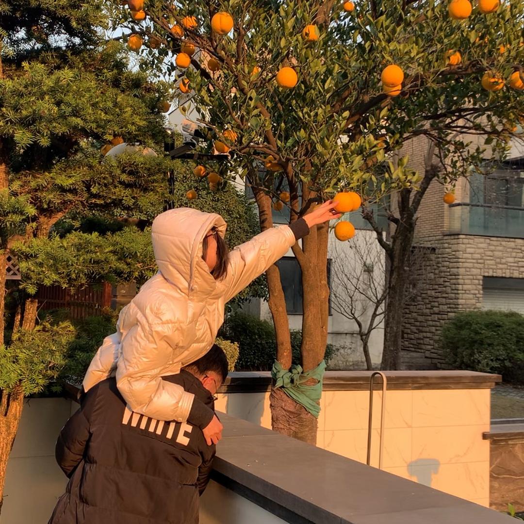李师傅的孙师傅