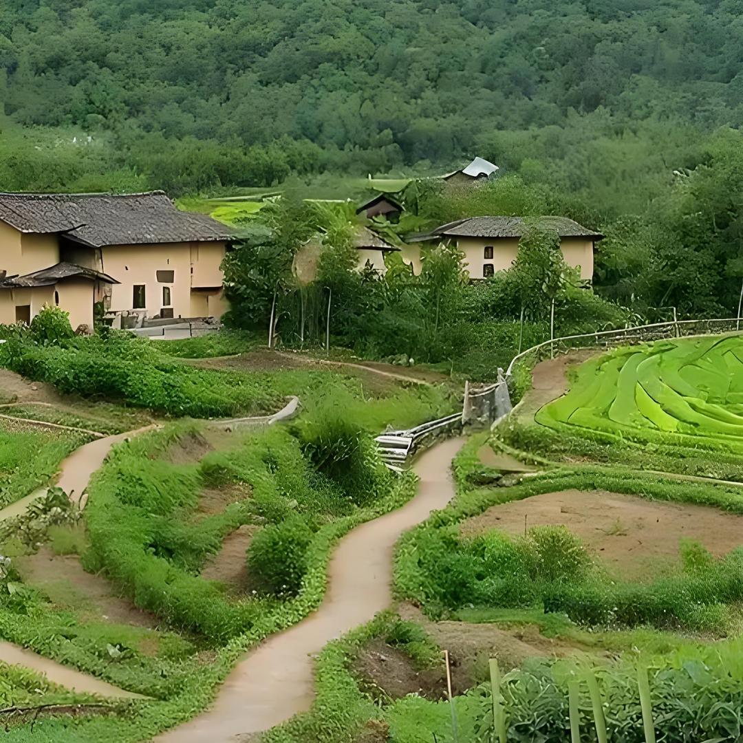 云南会泽高原土货