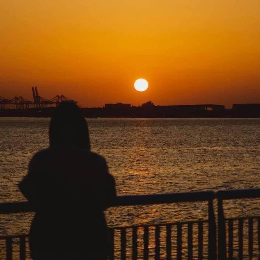 书檐浅梦