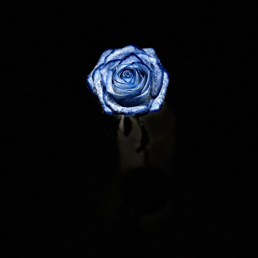 李—Siy