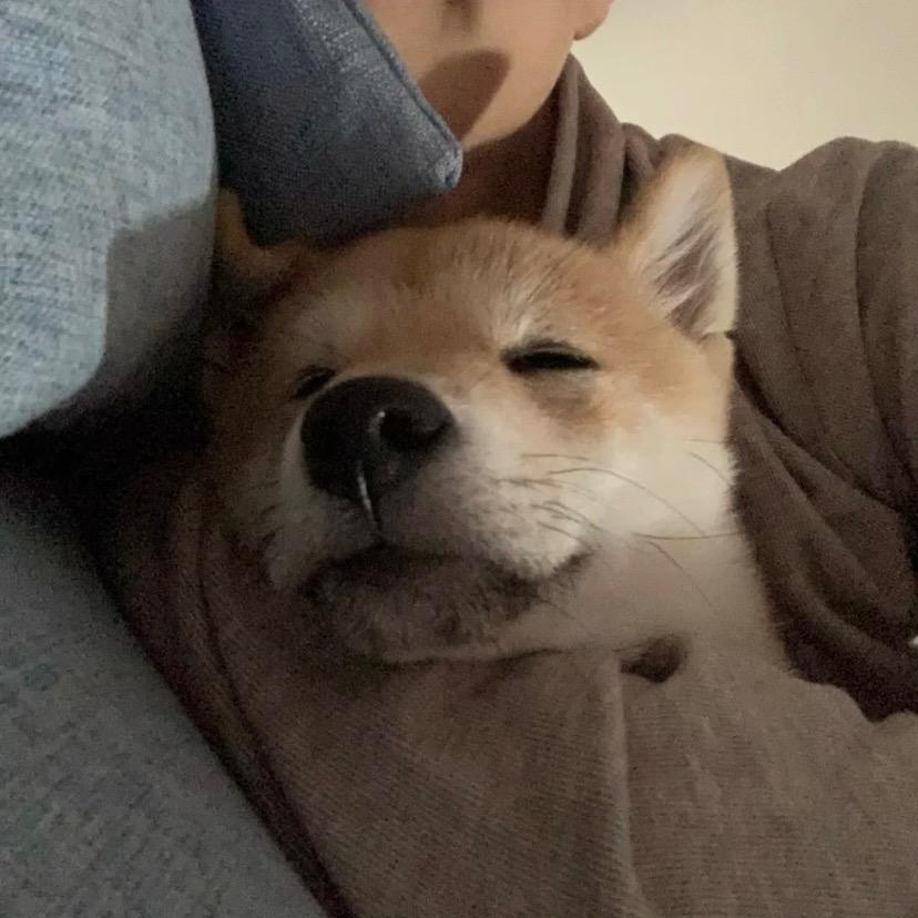 沿着