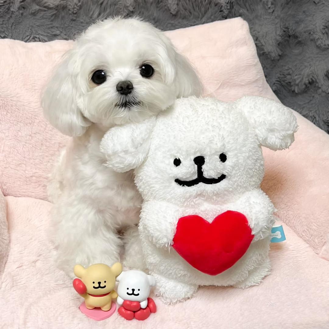 NaNa-Min