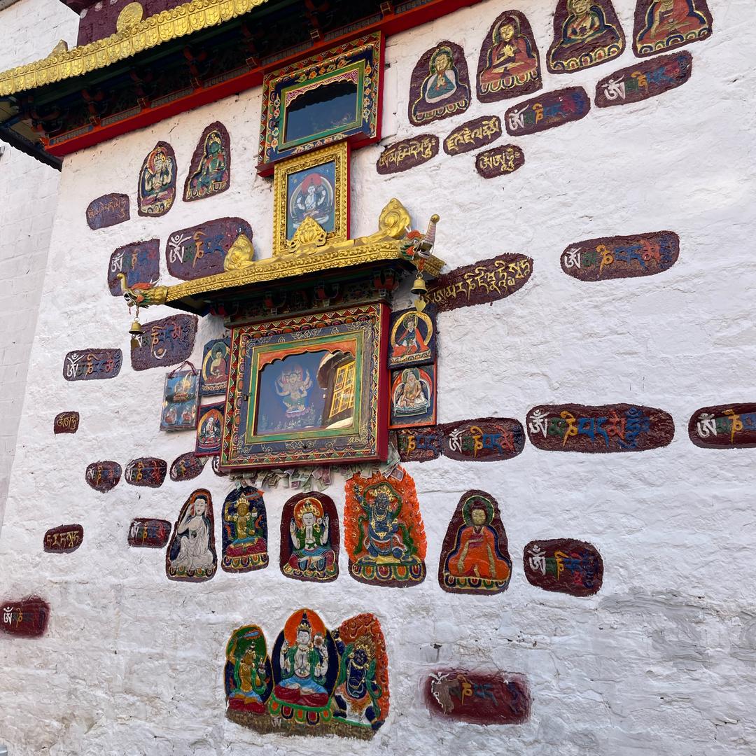 坚强背后的付出