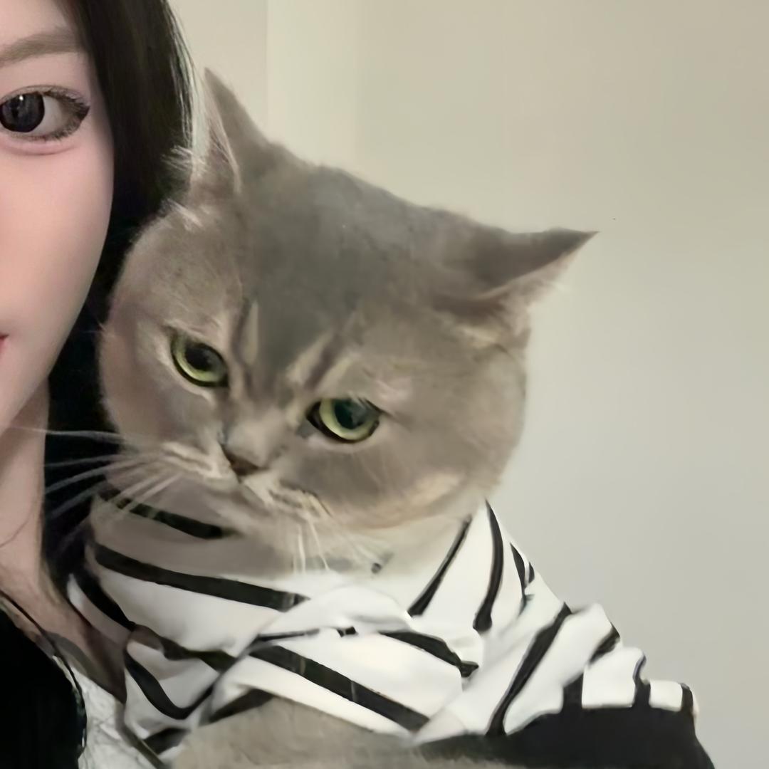 小🐑