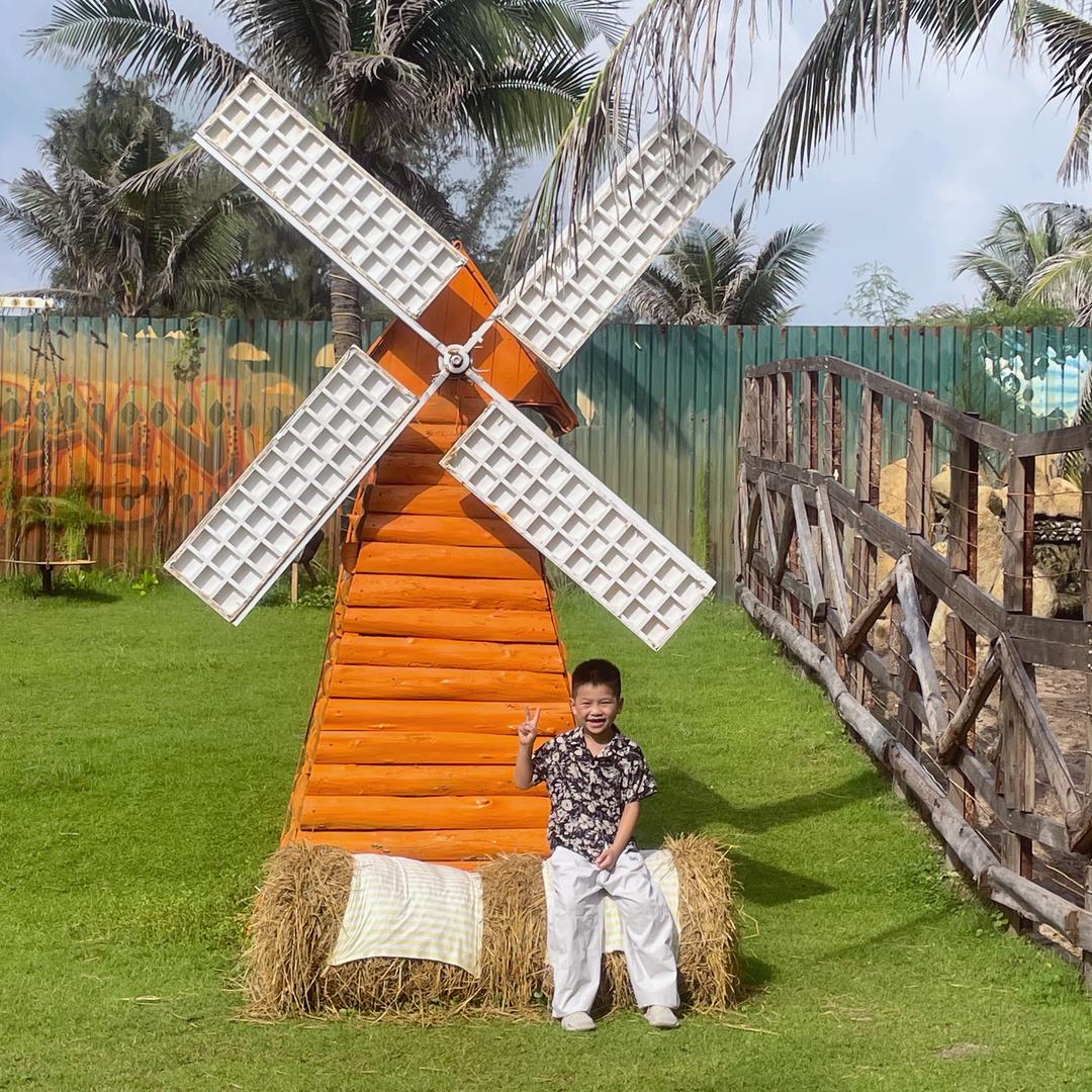 秋Thu DẦU DỪA