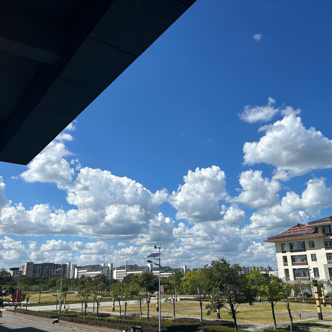 小陈小陈