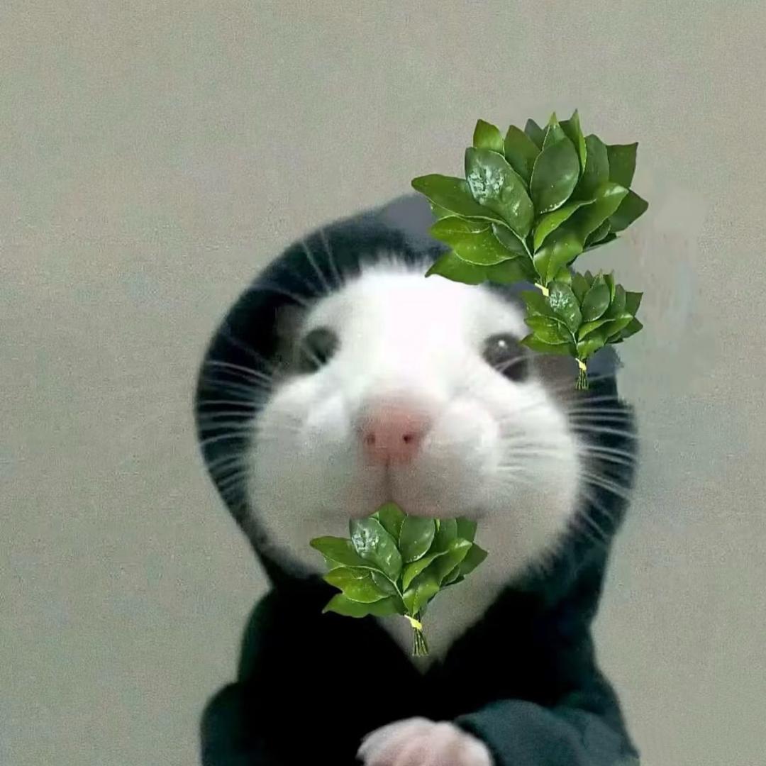 哒啦