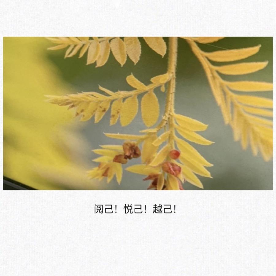 毛豆爱读书📖【橱窗有惊喜哟】