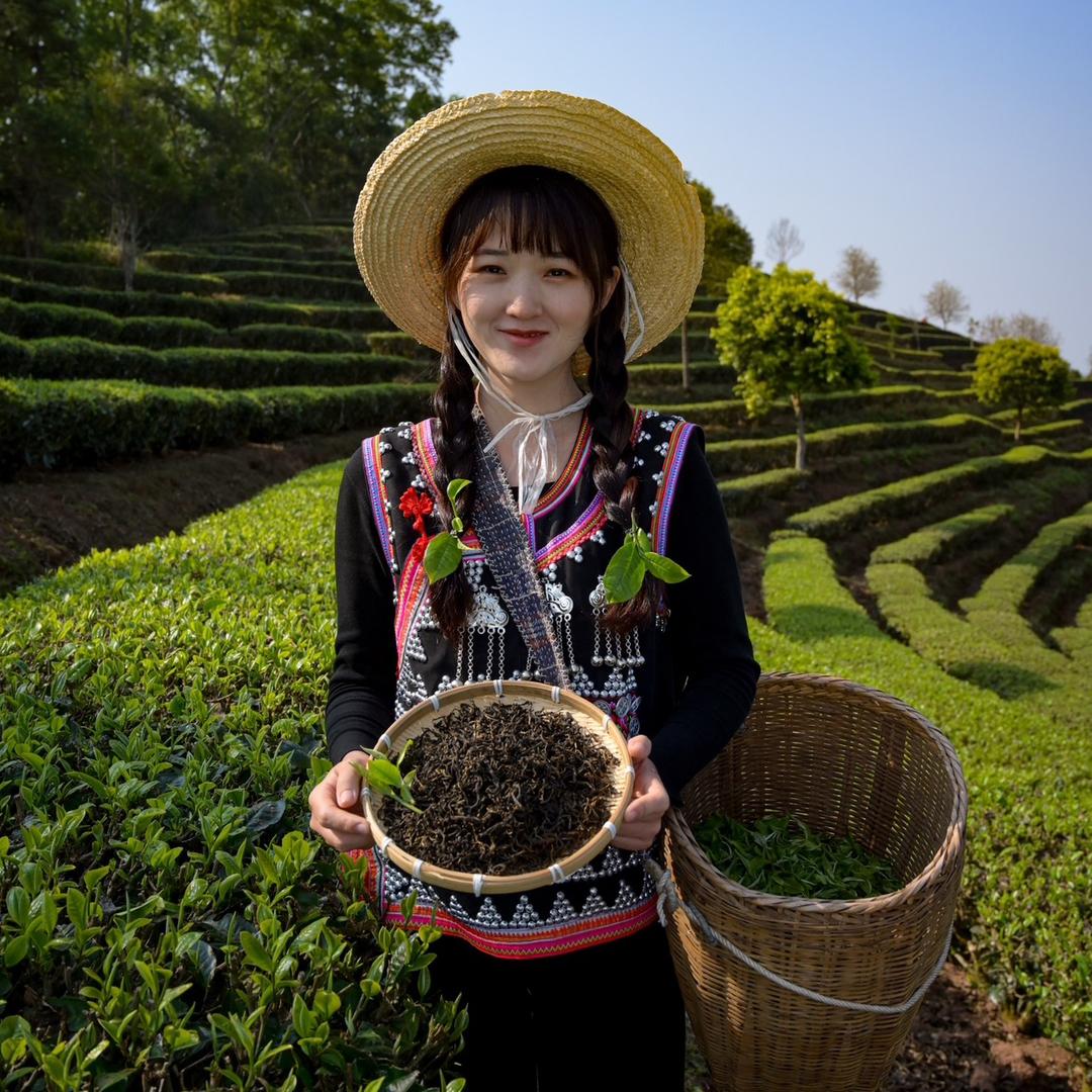 茶妃小表妹