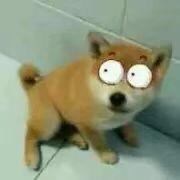 人间