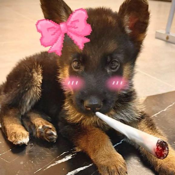 唯咳嗽贫穷和爱