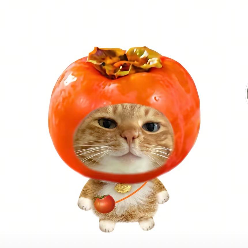 沉默小柿几🍅
