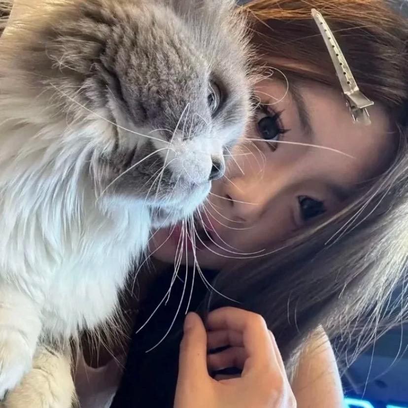 ^哭到纽约下大雨^