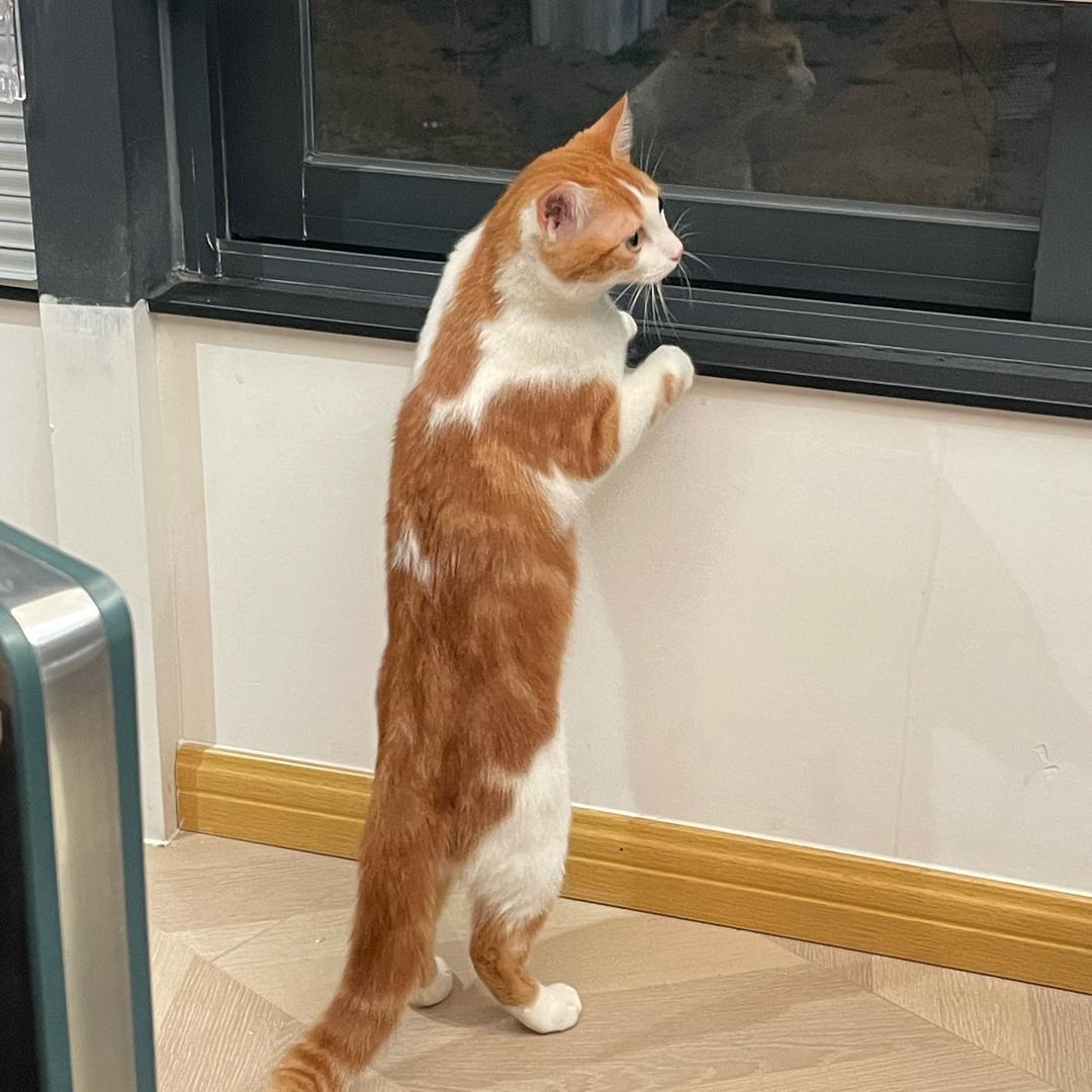 佐伊老板（工厂）