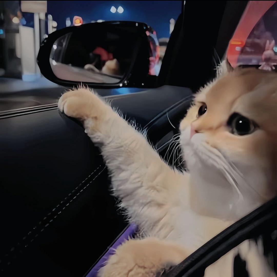 小七*