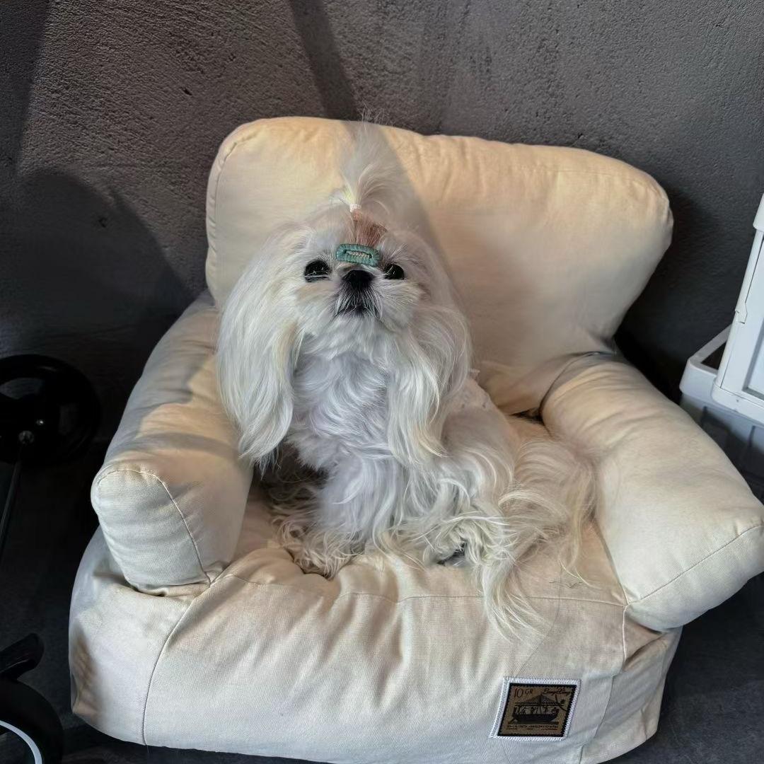 小新爱吃青椒🫑