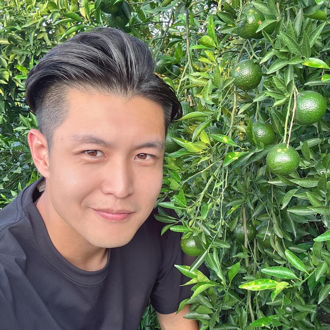 小东家陈皮