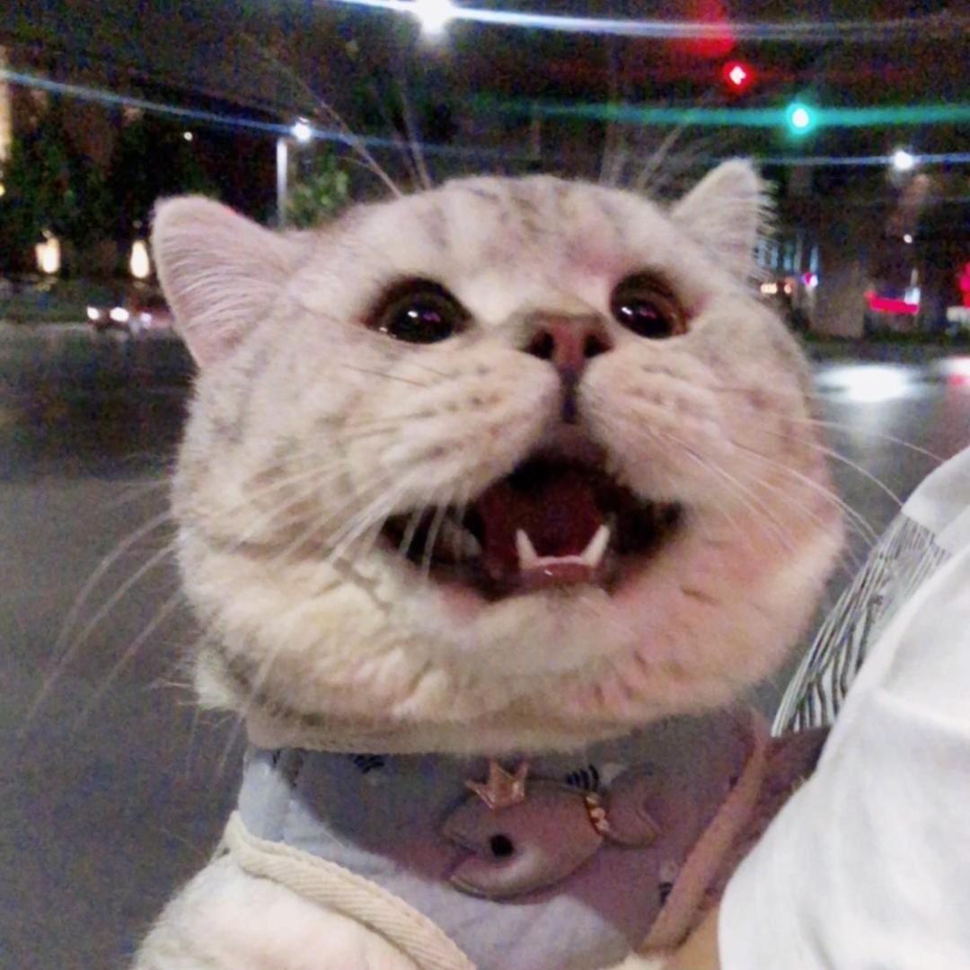 你他妈就该我的