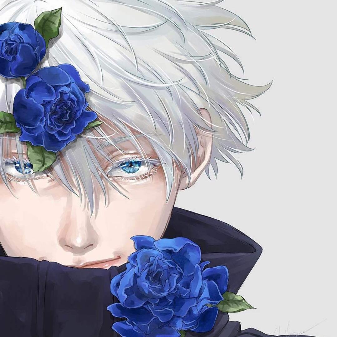 偷走夜的猫（三角洲行动）