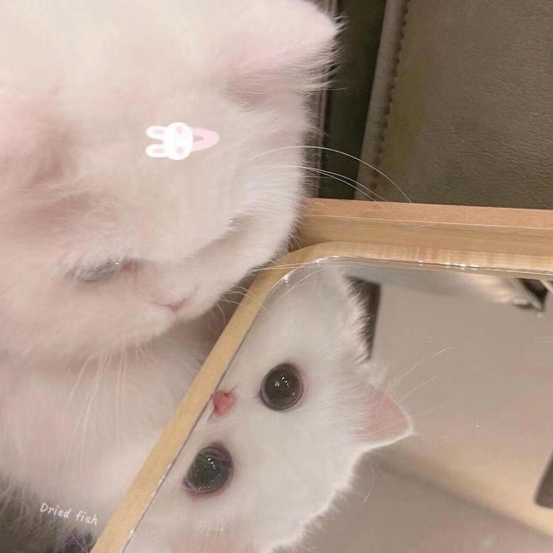 五月💞