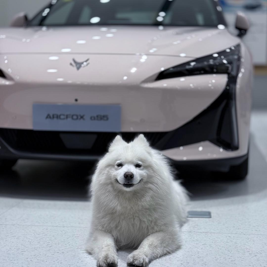 极狐叛逆店总雪花