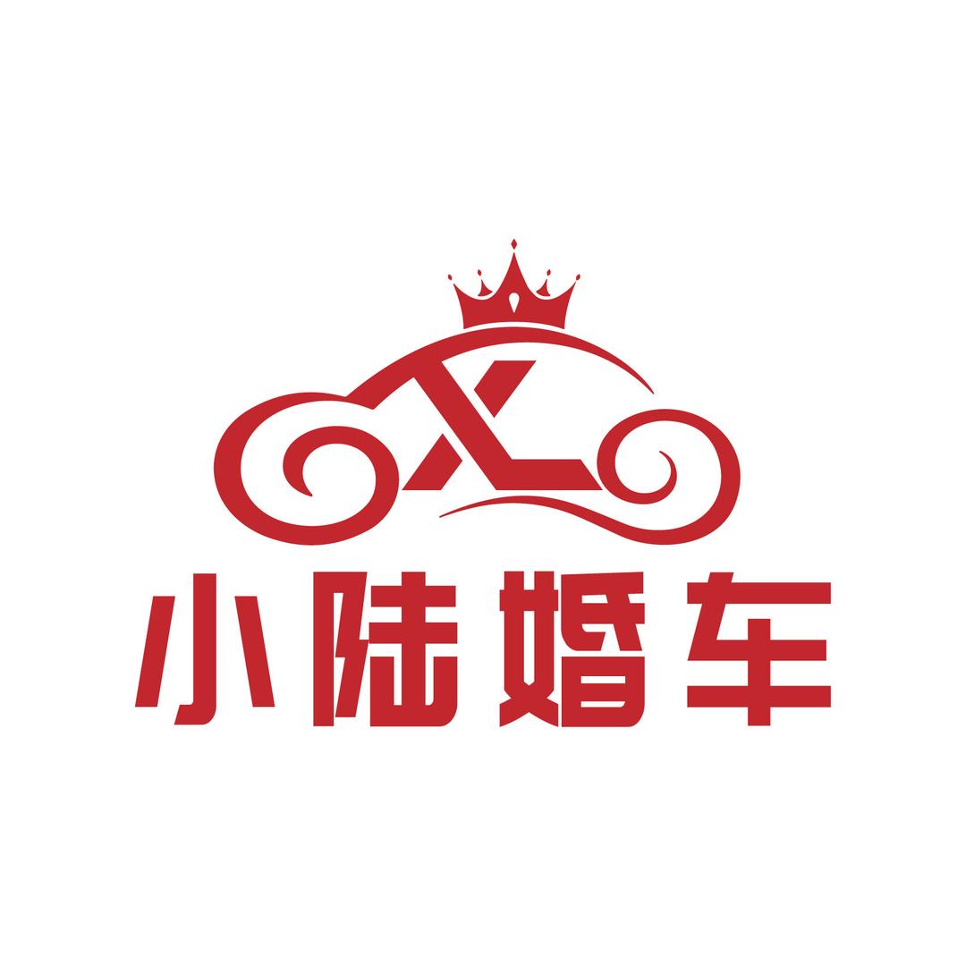枞阳小陆婚车