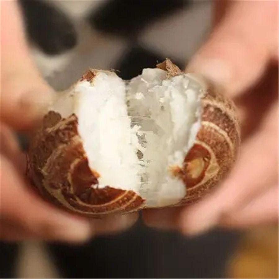 芋香栗甜地瓜铺