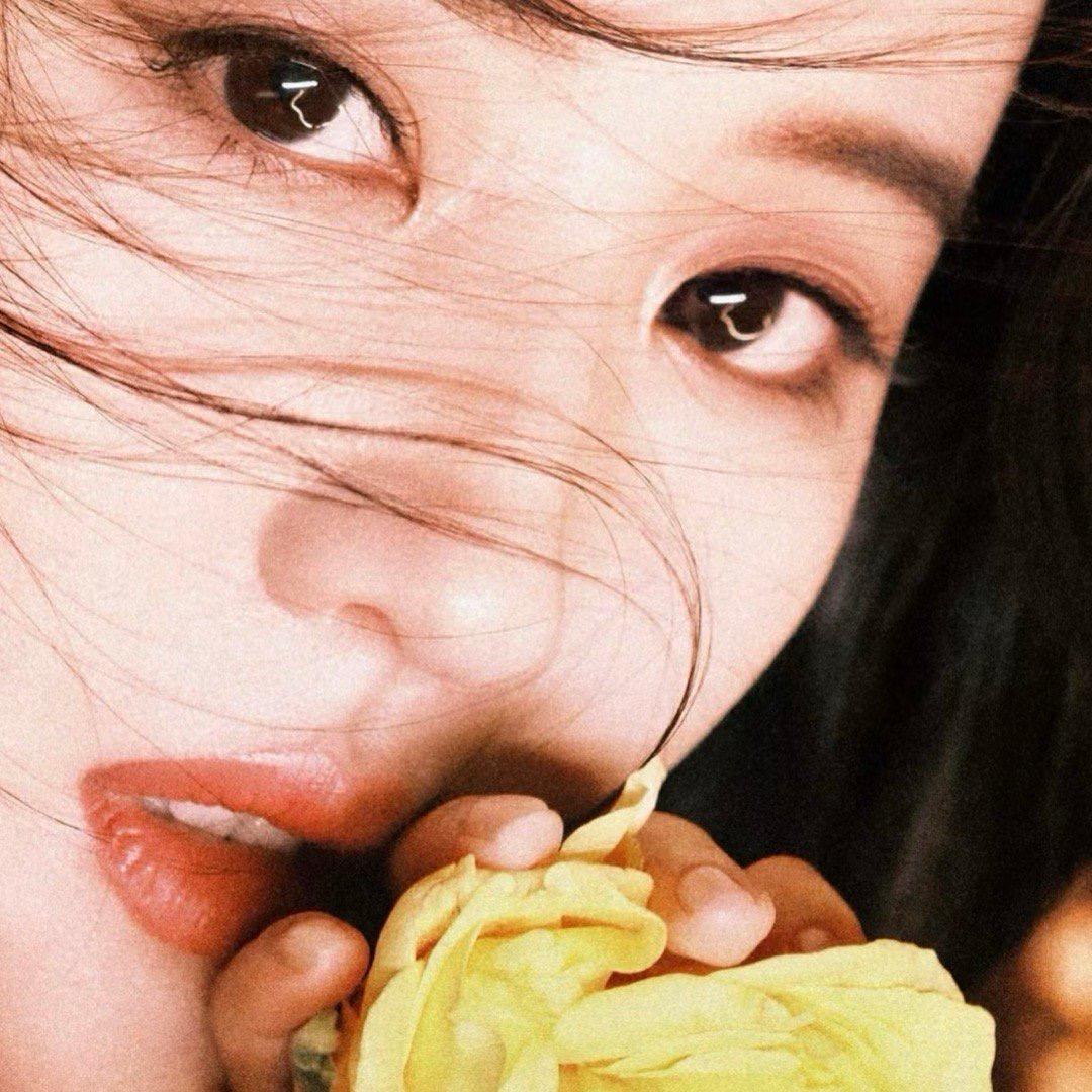 汤儿圆圆