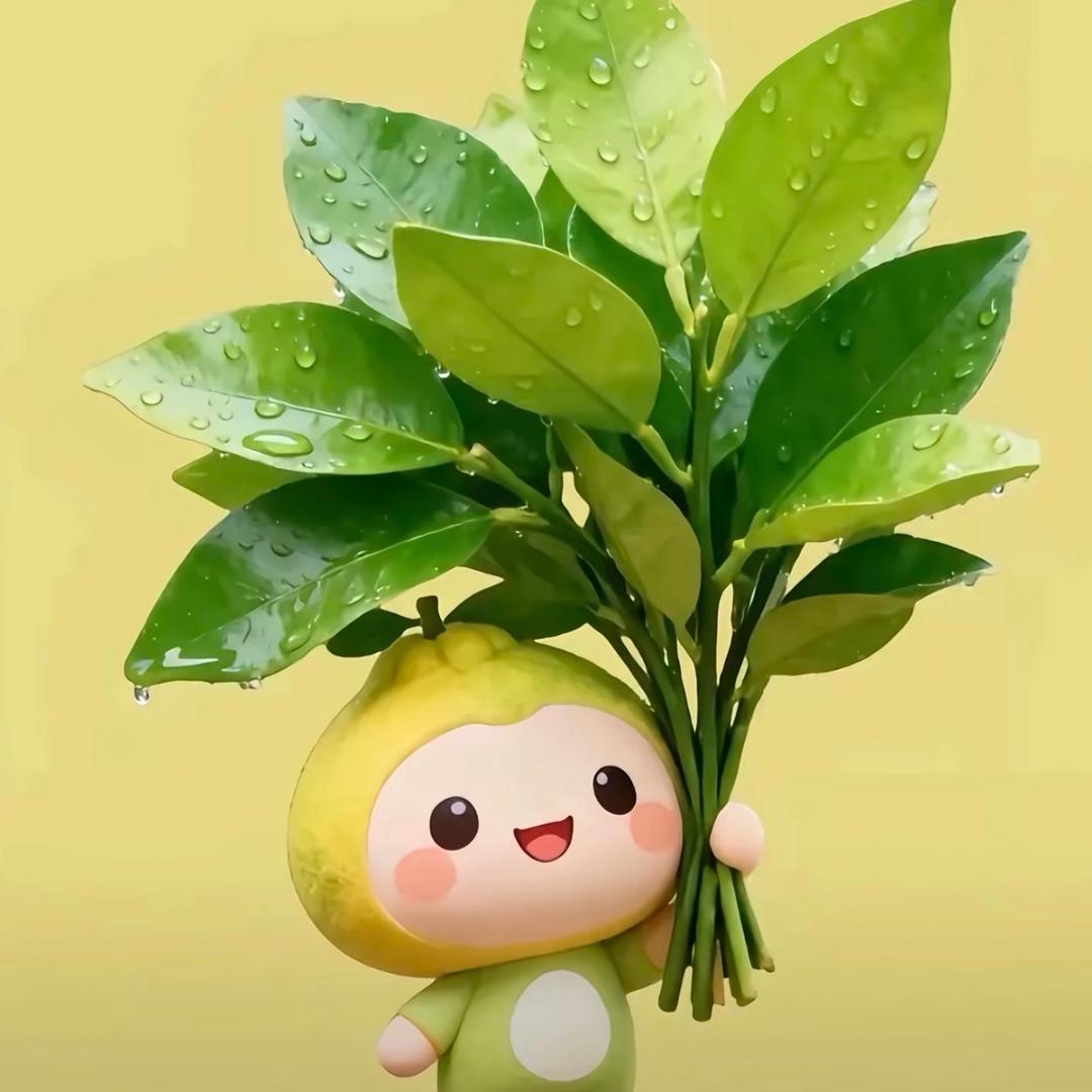 🍬哈哈哈🍬