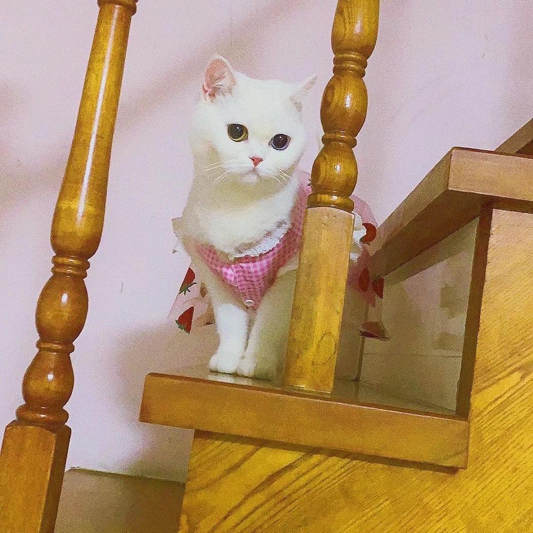 光辉灿烂.
