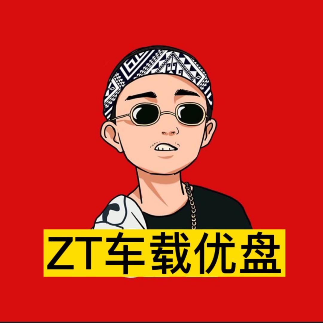 ZT车载音乐（经典歌曲 优pan）
