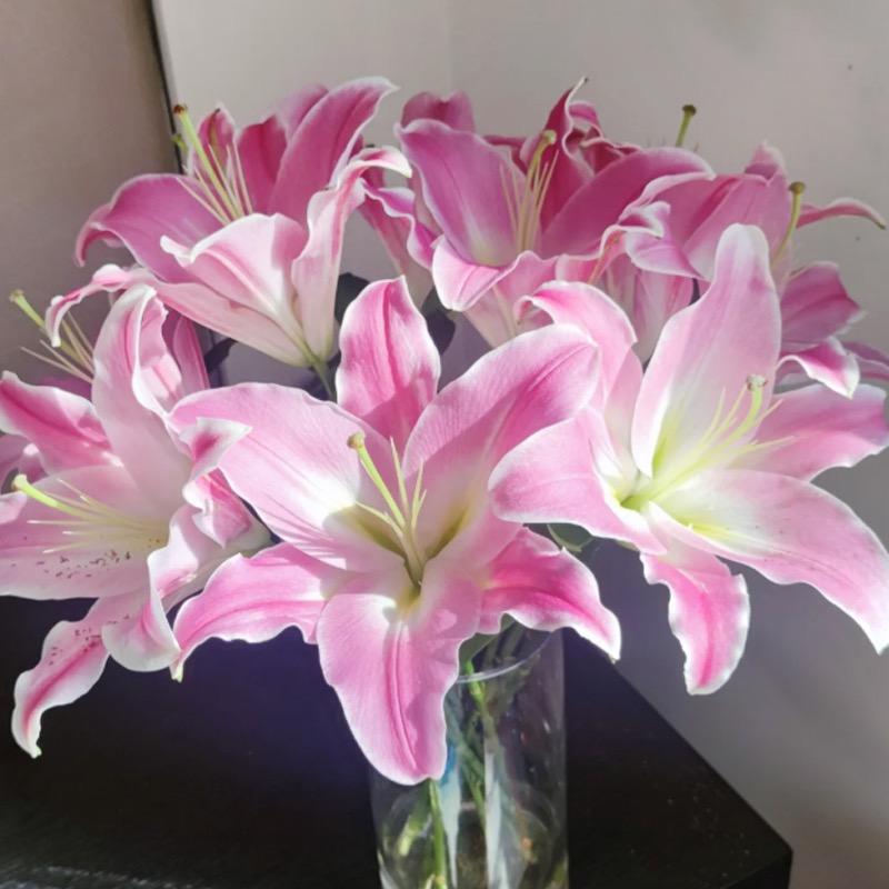 云悦鲜花