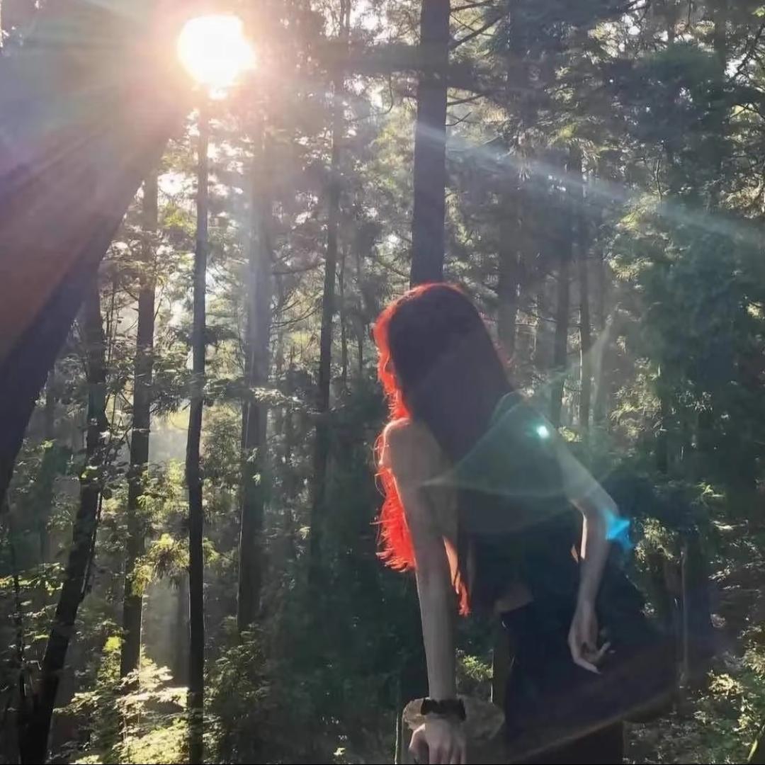 小尾巴带你去旅行