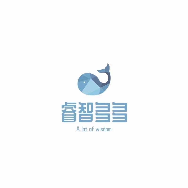 睿智多多益智玩具体验店