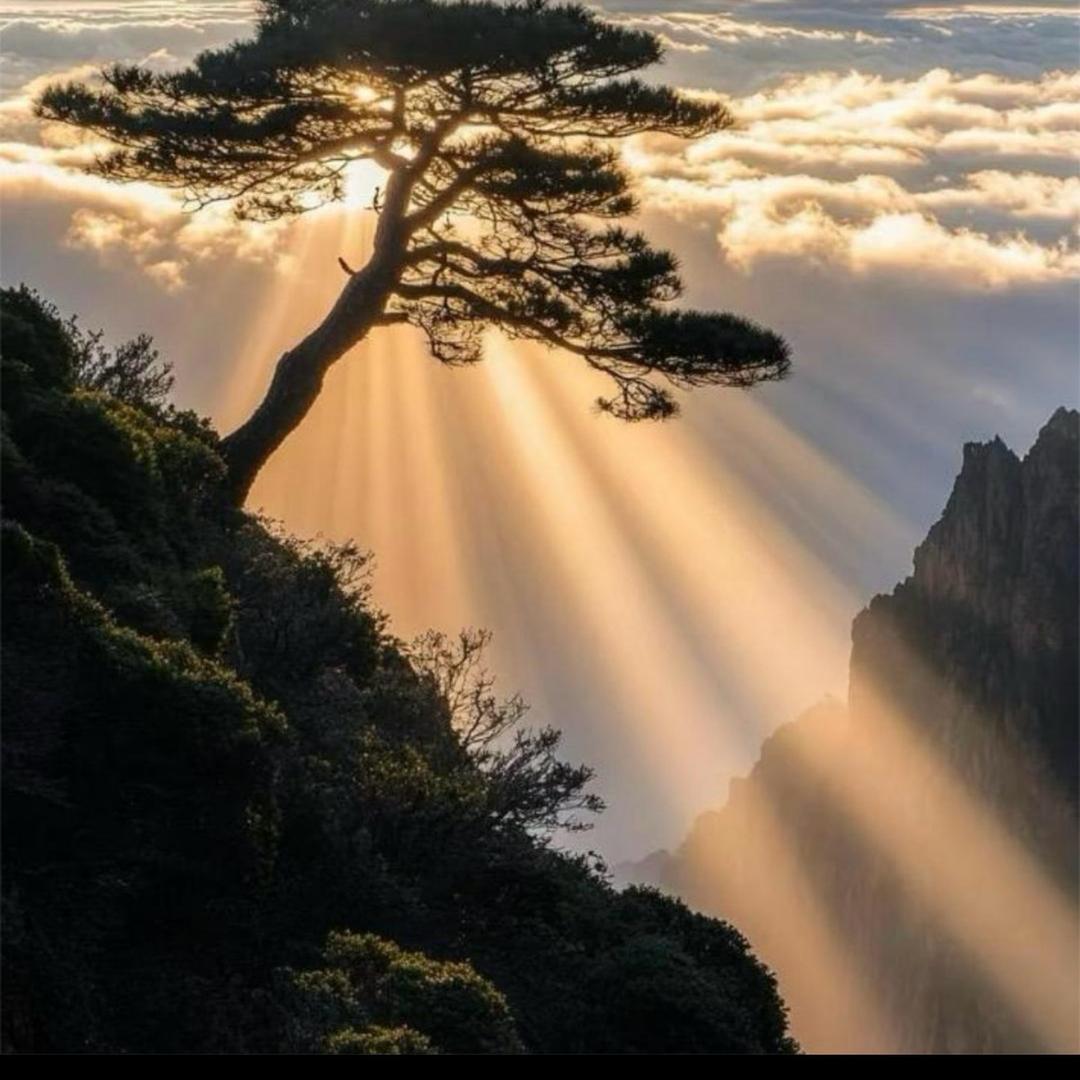 海水